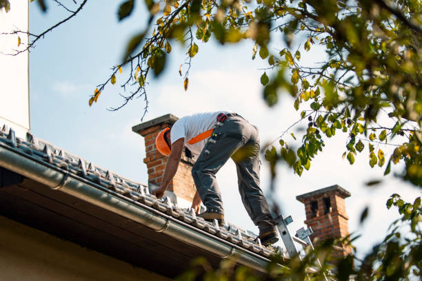 Best Roof Gutter Cleaning  in Woodruff, SC